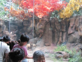 4 Beijing Zoo